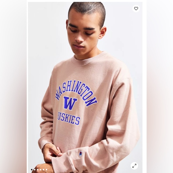 Champion Exclusive University of Washington Huskies Crew Neck Sweatshirt Men's S - Picture 7 of 8